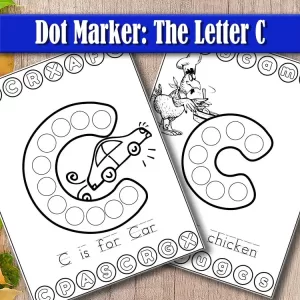 Dot Marker Activity Book